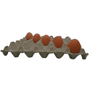 Egg Tray