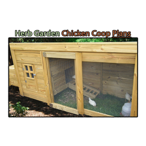 Herb Garden Chicken Coop Plans