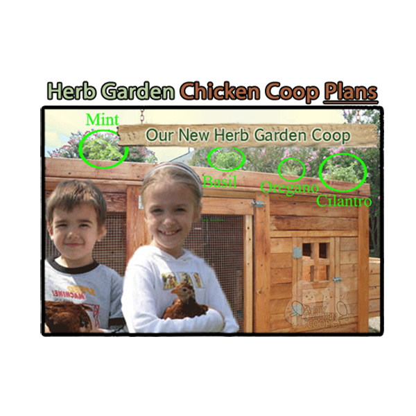 Herb Garden Chicken Coop Plans