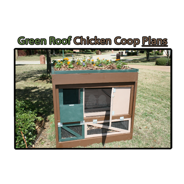 Green Roof Chicken Coop Plans