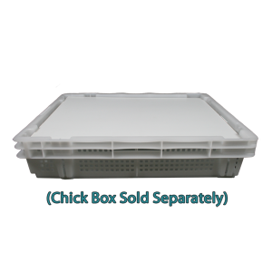 Chicken Chick Box with Lid On