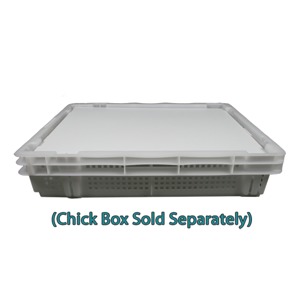 Chicken Chick Box with Lid On