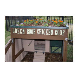 Green Roof Chicken Coop Plans