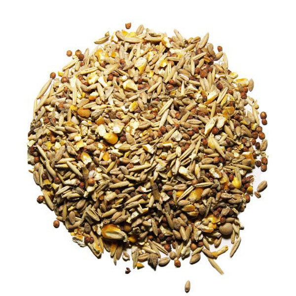 Organic Scratch For Chickens Organic Chicken Feed Organic Scratch For Chickens Organic Chicken Feed