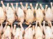 Aging Chicken Meat
