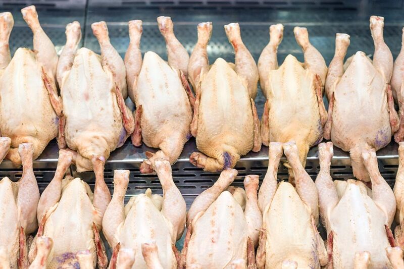 Rows of fresh raw chicken poultry at supermarket window-display. Poultry farm indystry. Livestock industry price index Aging Chicken Meat