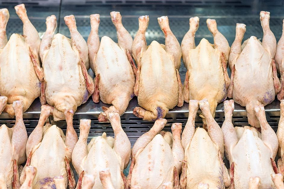 How to Raise Meat Birds Organic Chicken Feed