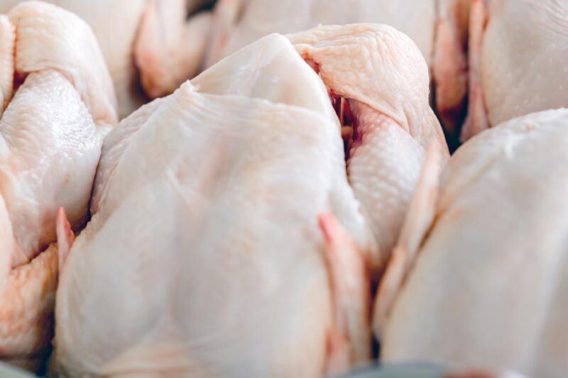 Raw  butchered chicken Deciding to Butcher