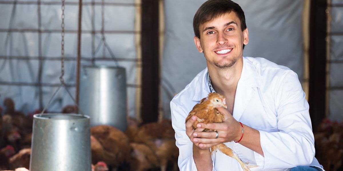 Portrait of young man veterinarian on poultry farm How to Prevent Illness in Chickens