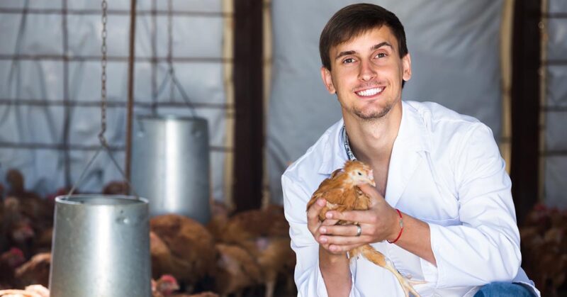 Portrait of young man veterinarian on poultry farm How to Prevent Illness in Chickens