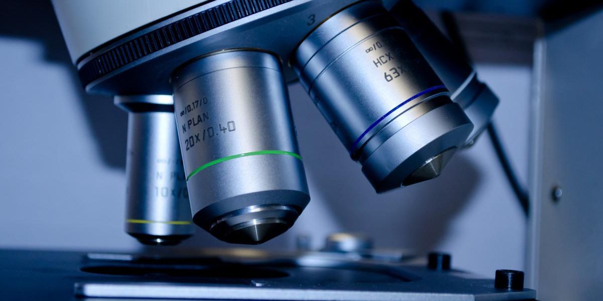 microplasmosis Mycoplasmosis