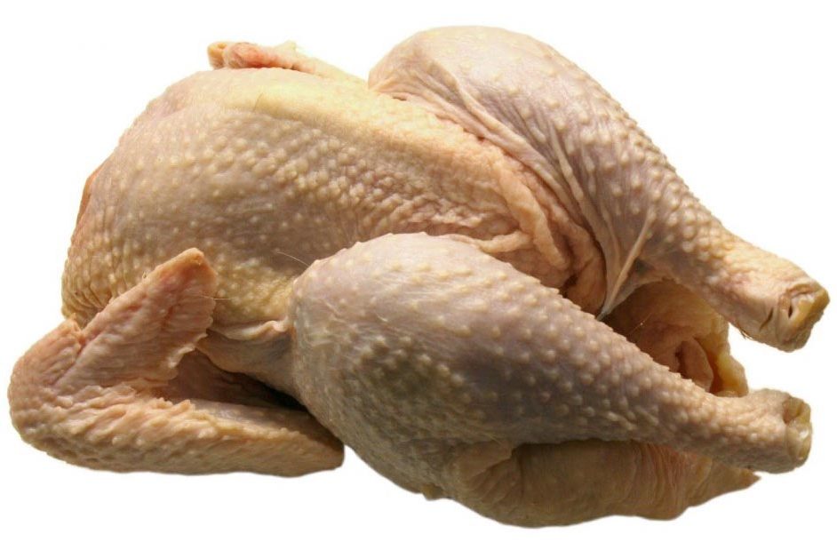 How to Raise Meat Birds Organic Chicken Feed