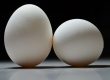 Types of Eggs