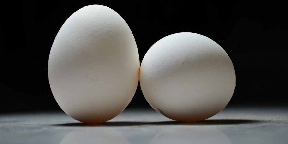 types_of_eggs Types of Eggs